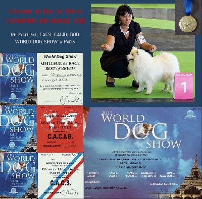 Du ray de mussy - WORLD DOG SHOW   Chynook du Ray de Mussy WINNER 2011