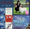  - WORLD DOG SHOW   Chynook du Ray de Mussy WINNER 2011